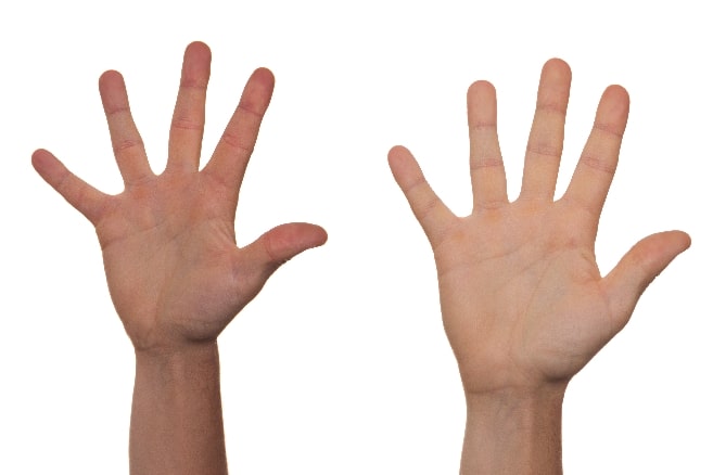 working hands