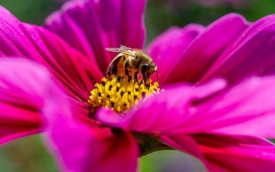 Valentine’s Day. Special Gifts for Women – part 2